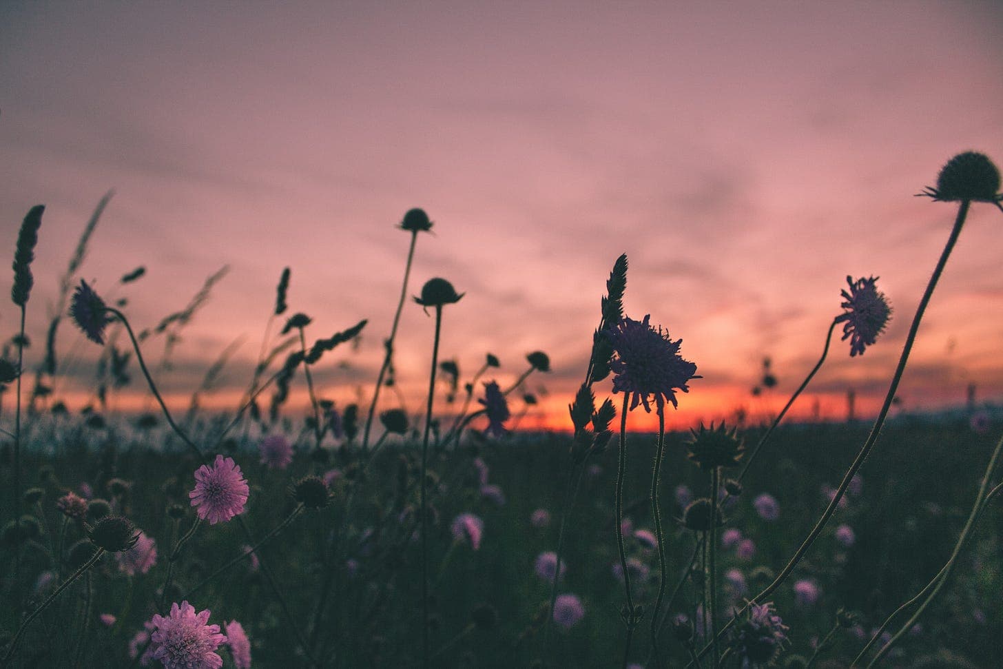 Grace and Sovereignty