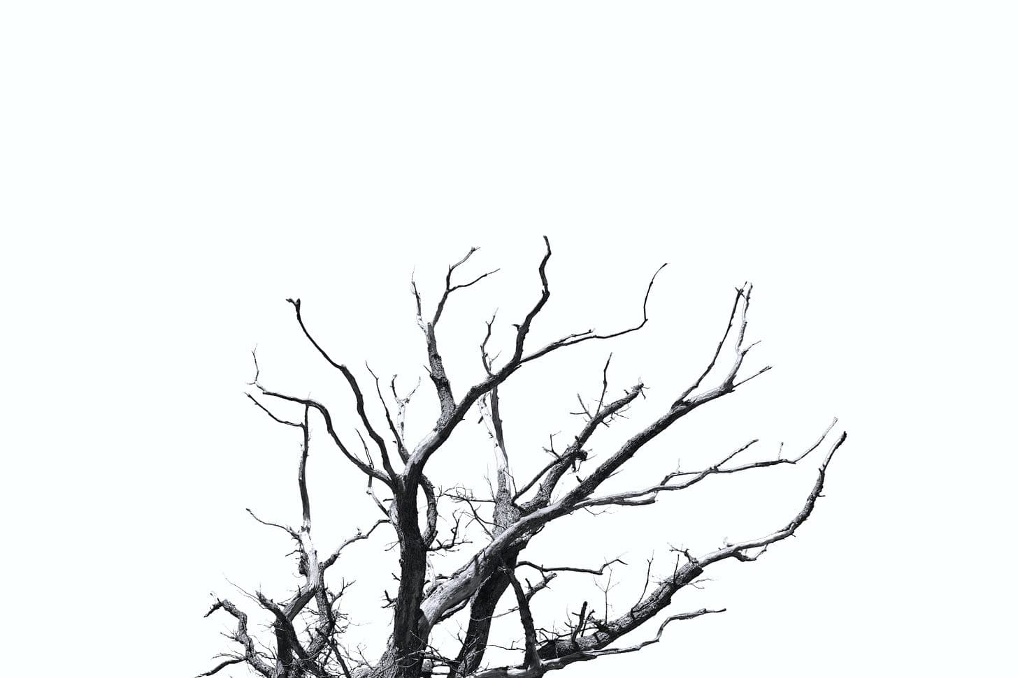 Photo by Fredric Andersson on Unsplash